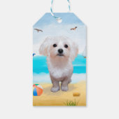 Étiquettes-cadeau Chien maltais sur la plage (Dos)