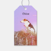 Étiquettes-cadeau Chien paisible (Devant)
