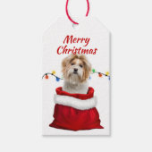 Étiquettes-cadeau Chien Shih Tzu dans un sac Père Noël (Devant)