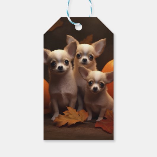 Étiquettes-cadeau Chihuahua Chiot Automne Citrouille de plaisir (Devant)