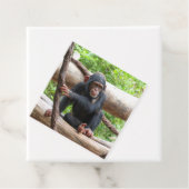 Étiquettes Cadeau Chimpanzée 001 (En situation)