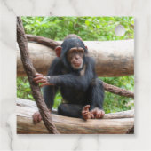 Étiquettes Cadeau Chimpanzée 001 (Dos)