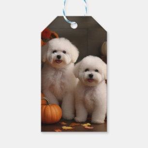 Étiquettes-cadeau Chiot Bichon Frise Délice d'Automne Citrouille
