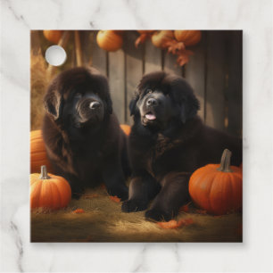 Étiquettes Cadeau Chiots Terre-Neuve Délice d'Automne Citrouille