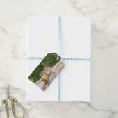 Étiquettes-cadeau Chipmunk sur un rocher (With Twine)