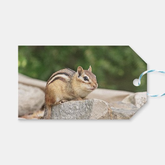 Étiquettes-cadeau Chipmunk sur un rocher (Devant (Horizontal))