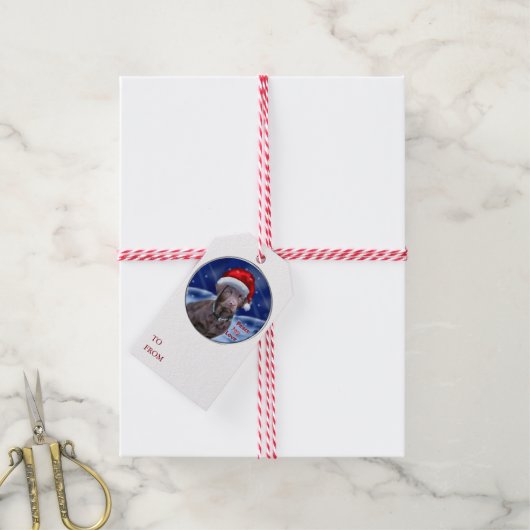 Étiquettes-cadeau Chocolate Labrador (Avec de la ficelle)