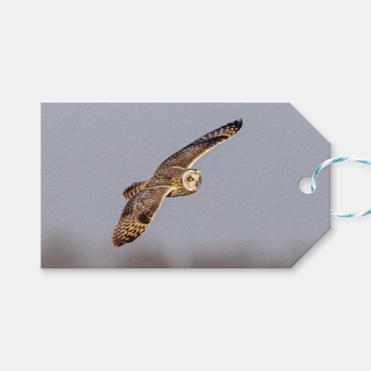 Étiquettes-cadeau Chouette à oreilles courtes dans les Prairies de S (Devant (Horizontal))