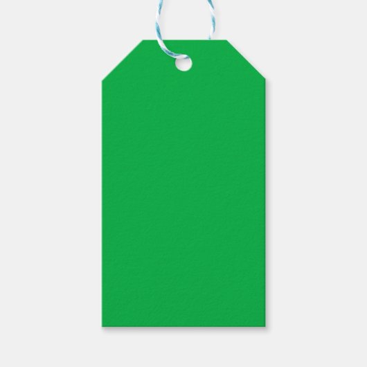 Étiquettes-cadeau Chroma couleur clé vert (Devant)