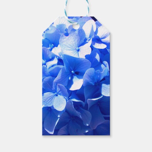 Étiquettes-cadeau Cobalt bleu floral élégant bleu hydrangées (Devant)