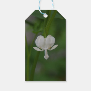 Étiquettes-cadeau Coeur à saignement blanc unique