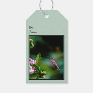 Étiquettes-cadeau Colibri à gorge rubis - Photo originale