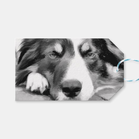 ÉTIQUETTES-CADEAU COLLIE FRONTALIÈRE (Devant (Horizontal))