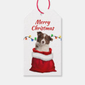 Étiquettes-cadeau Collie frontière rouge Chiot dans le sac Père Noël (Devant)