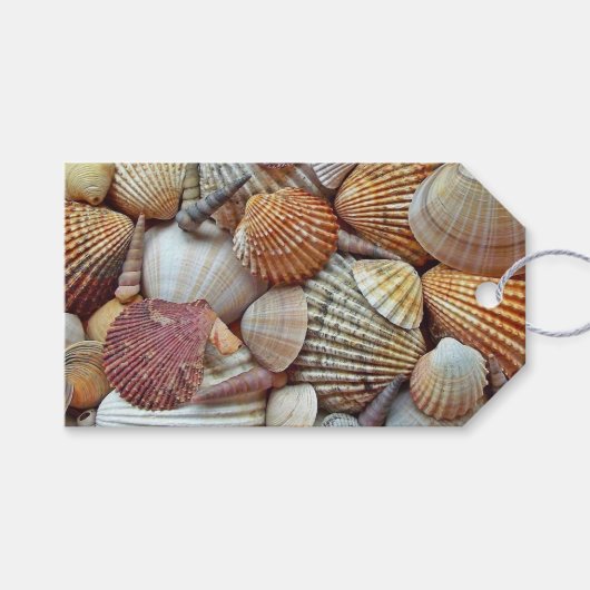 Étiquettes-cadeau Coquillages (Devant (Horizontal))
