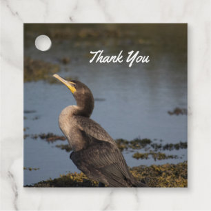 Étiquettes Cadeau Cormorant à double poitrine