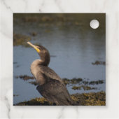Étiquettes Cadeau Cormorant à double poitrine (Dos)