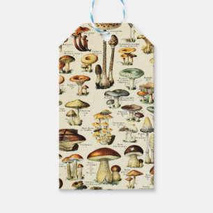 Étiquettes-cadeau Cottagecore Champignons Naturaliste Vintage