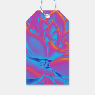 Étiquettes-cadeau Couleur arc-en-ciel plante Succulent