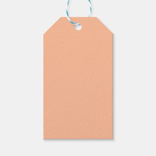 Étiquettes-cadeau Couleur solide Fuzz Peach (Devant)