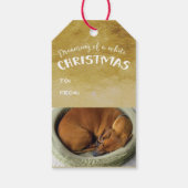 Étiquettes-cadeau Crois en la magie (Dos)