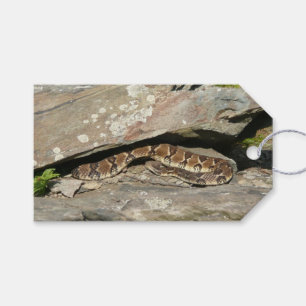 Étiquettes-cadeau Crotale dans le parc national de Shenandoah