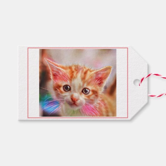 Étiquettes-cadeau Cute Kitten Face Ginger Chat (Devant (Horizontal))