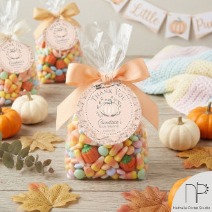 Étiquettes Cadeau Cute Orange Petit Baby shower Citrouille Merci