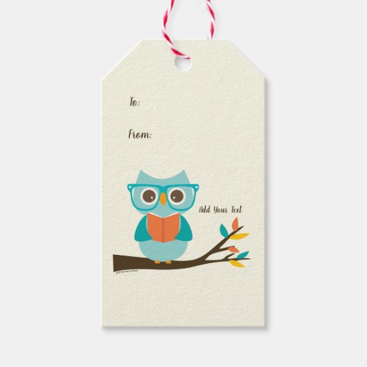 Étiquettes-cadeau Cute Owl Lecture Personnalisée Colorée Turquoise (Devant)
