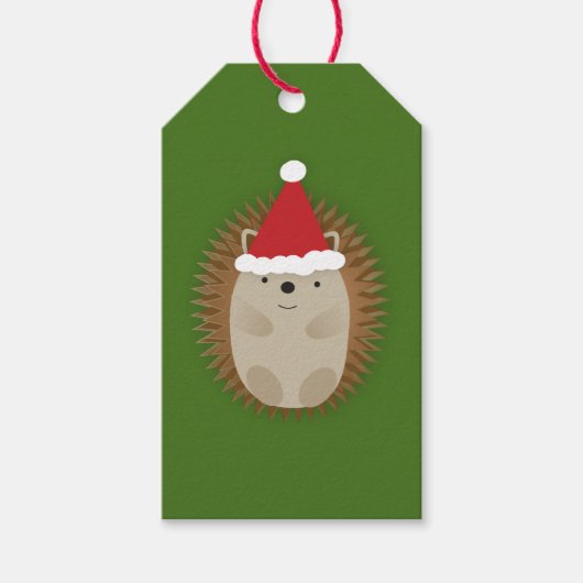 Étiquettes-cadeau Cute Père Noël Hedgehog (Devant)