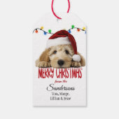 Étiquettes-cadeau Cute Santa Goldendoodle Christmas (Dos)