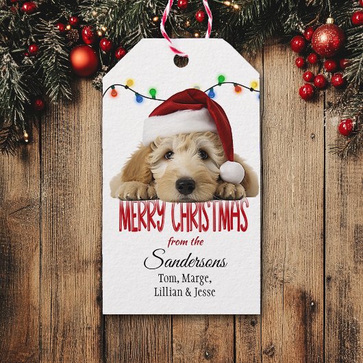 Étiquettes-cadeau Cute Santa Goldendoodle Christmas