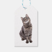 Étiquettes-cadeau Cute tabby Chat (Devant)