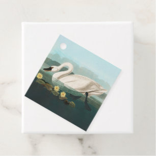 Étiquettes Cadeau cygne audubon cygnes d'eau blanche