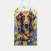 Étiquettes-cadeau Dachshund à poil long (Devant)