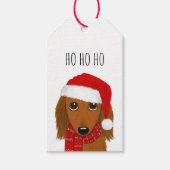 Étiquettes-cadeau Dachshund à poils longs Père Noël mignon chien Noë (Devant)