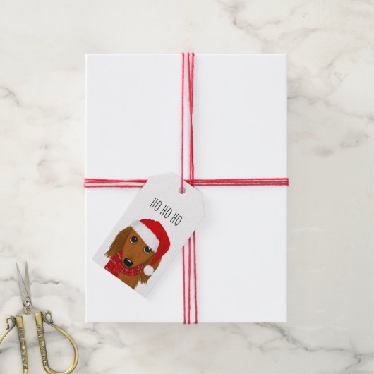 Étiquettes-cadeau Dachshund à poils longs Père Noël mignon chien Noë (Avec de la ficelle)