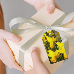 Étiquettes-cadeau Daffodiles de printemps jaune Floral