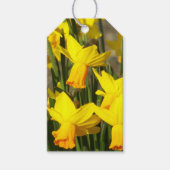 Étiquettes-cadeau Daffodiles de printemps jaune Floral (Devant)