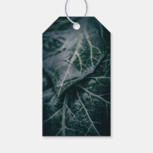 Étiquettes-cadeau Dark Moody Ivy Feuille Nature Photo