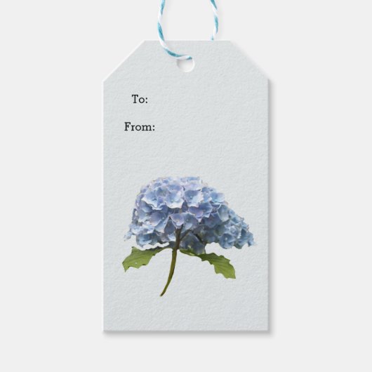 Étiquettes Cadeau de Tige d'Hydrangea Bleue (Devant)
