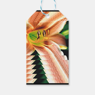 Étiquettes-cadeau Diminuer Daylily