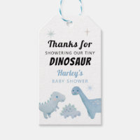 Dinosaur Boy Baby shower Favoriser