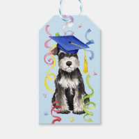 Diplômé de Mini Schnauzer