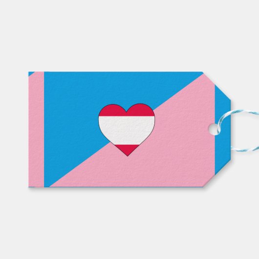 Étiquettes-cadeau Drapeau de fierté de jeu d'âge (Devant (Horizontal))