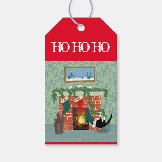 Étiquettes-cadeau drôle chat de réserve de Noël (Devant)