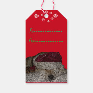 Étiquettes-cadeau drôle de photo de chien de mignonne akita pour No