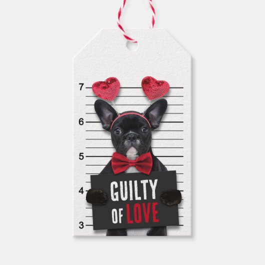 Étiquettes-cadeau Drôle Saint Valentin Mugshot Coupable Aimer Chien (Devant)