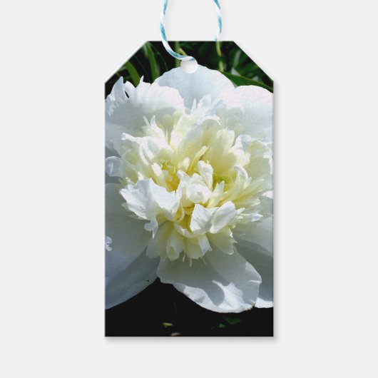 Étiquettes-cadeau Elégant blanc peony floral blanc photo (Devant)