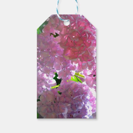 Étiquettes-cadeau Elégant flores rose douce hydrangée rose rose (Devant)